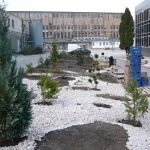 Jurnal de gradinar -Kalon Garden- Amenajari gradini 3