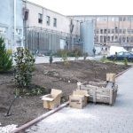 Jurnal de gradinar -Kalon Garden- Amenajari gradini 4