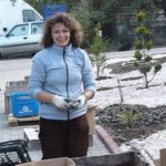 Jurnal de gradinar -Kalon Garden- Amenajari gradini 7
