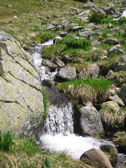 Stancarie Naturala Parang Caldera Calcescu