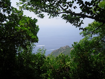 Portofino 5