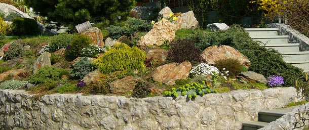 proiectul-casa-gradina_2